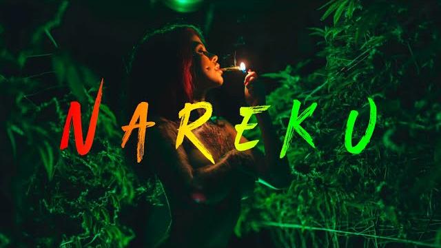 Nareku - ragga mix (reggae, raggastep, dub) Nareku - ragga mix (reggae, raggastep, dub)
