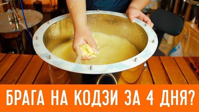 Брага на кодзи за 4 дня. возможно ли? Брага на кодзи за 4 дня. возможно ли?