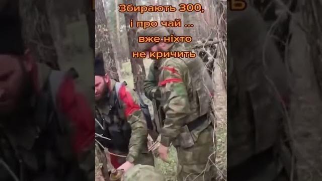 Как орут кадыровские ублюдки, когда им прилетает от вооруженных сил украины. 18.09.2022. Как орут кадыровские ублюдки, когда им прилетает от вооруженных сил украины. 18.09.2022.