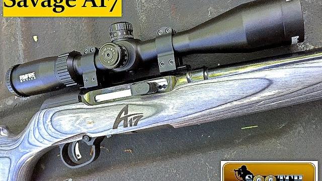 Savage a17 17 hmr semi auto rifle review Savage a17 17 hmr semi auto rifle review
