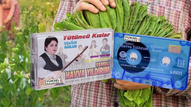 Havva yildirim arpalar hasır oldu Havva yildirim arpalar hasır oldu