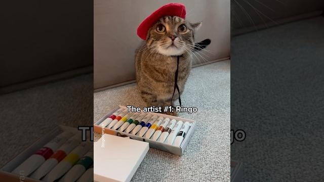 Let’s rate my cat’s art!️ #shorts #cat #funny Let’s rate my cat’s art!️ #shorts #cat #funny