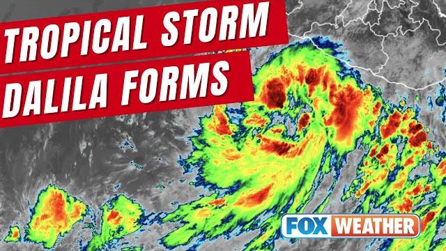 Tropical storm dalila forms in eastern pacific Tropical storm dalila forms in eastern pacific