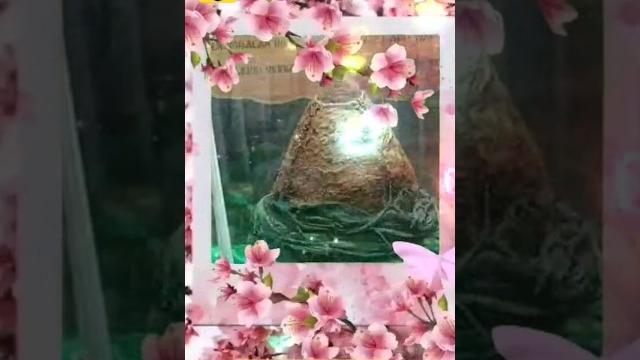 নবীজির পাগড়ী মোবারক nobijir pagri mubarak #shorts #pagrai #nobijirjiboni #islamicshorts #mashallah নবীজির পাগড়ী মোবারক nobijir pagri mubarak #shorts #pagrai #nobijirjiboni #islamicshorts #mashallah