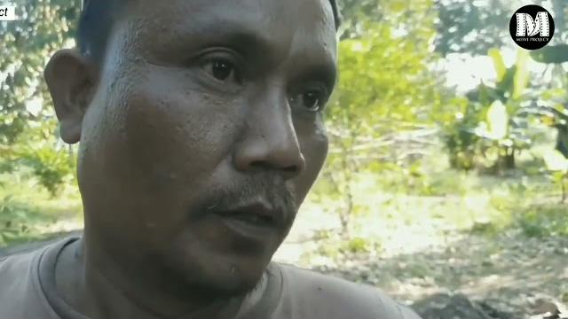 Adek istriku jadi pemuas nafsu birahiku Adek istriku jadi pemuas nafsu birahiku