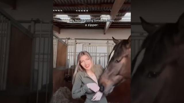At avrat kokonat #funny #horse #shorts #cats #cute #tiktok #crazy #subscribe #women #trend At avrat kokonat #funny #horse #shorts #cats #cute #tiktok #crazy #subscribe #women #trend