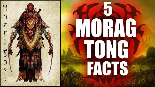 Skyrim - 5 morag tong facts - elder scrolls lore Skyrim - 5 morag tong facts - elder scrolls lore