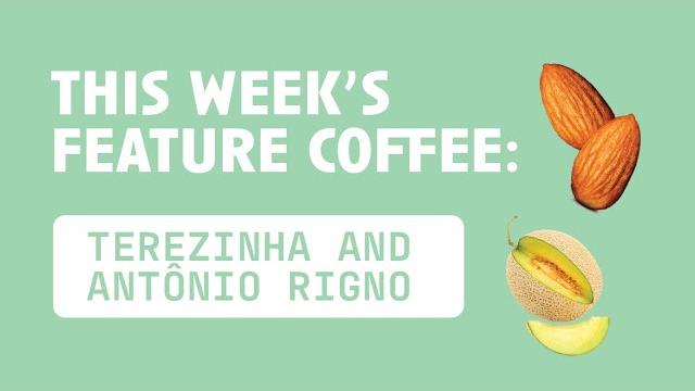 Terezinha and antônio rigno Terezinha and antônio rigno