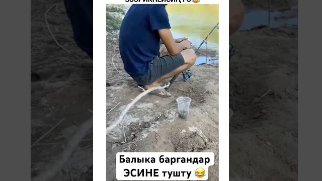 Болгонбу ушундай #тикток #моялошадь #юмор #лошадки #дуэт #арабскиелошади #прикол #топ Болгонбу ушундай #тикток #моялошадь #юмор #лошадки #дуэт #арабскиелошади #прикол #топ