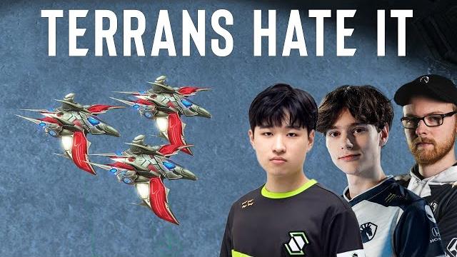 New patch 2024 protoss vs terran guide New patch 2024 protoss vs terran guide