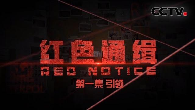 《红色通缉》第一集 《引领》 “百名红通人员” 头号通缉对象杨秀珠曾声称“死也要死在美国” | cctv 揭秘国际追逃追赃纪实片 《红色通缉》第一集 《引领》 “百名红通人员” 头号通缉对象杨秀珠曾声称“死也要死在美国” | cctv 揭秘国际追逃追赃纪实片