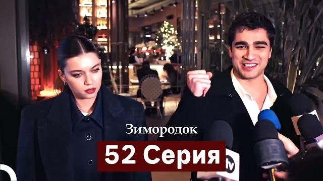 Зимородок 52 cерия (русский дубляж) Зимородок 52 cерия (русский дубляж)
