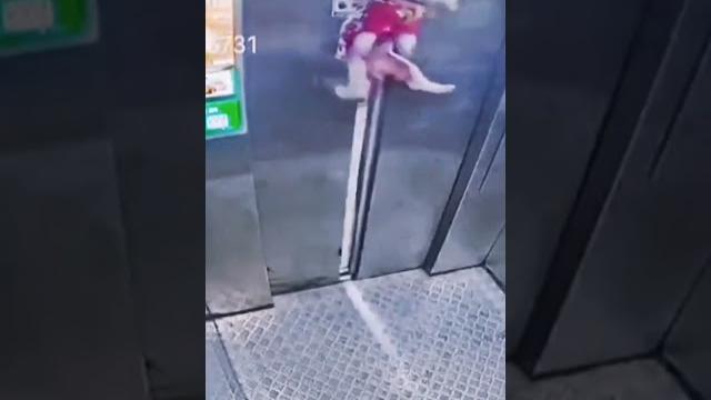Dog get stock in the elevator #fails #crash Dog get stock in the elevator #fails #crash