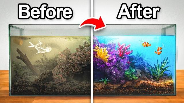 Transforming an abandoned aquarium (with fish) Transforming an abandoned aquarium (with fish)