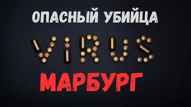 Вирус марбург: опасный убийца #вирус Вирус марбург: опасный убийца #вирус