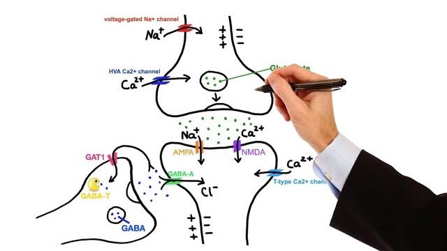Pharmacology - antiepileptic drugs (made easy) Pharmacology - antiepileptic drugs (made easy)