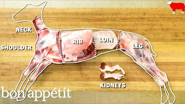 How to butcher an entire lamb: every cut of meat explained | handcrafted | bon appetit How to butcher an entire lamb: every cut of meat explained | handcrafted | bon appetit