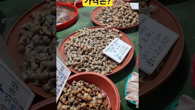 소라가격 폭락! 풍년이네요! 가격은? #소라 #참소라 #해산물 #수산물 #어시장 소라가격 폭락! 풍년이네요! 가격은? #소라 #참소라 #해산물 #수산물 #어시장