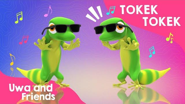 Tokek tokek - lagu binatang lucu - lagu anak indonesia Tokek tokek - lagu binatang lucu - lagu anak indonesia