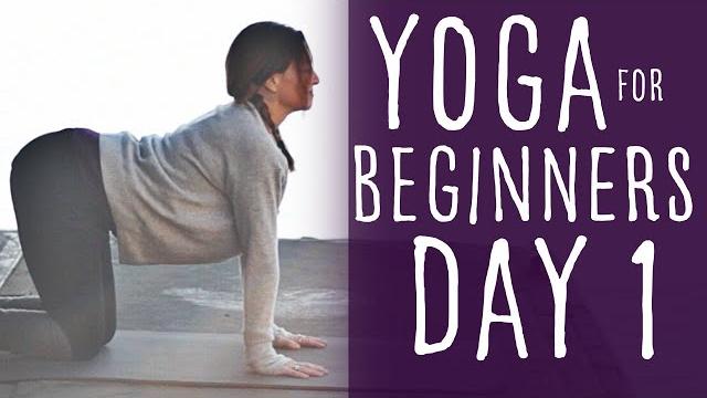 Yoga for beginners at home (15 minute) 30 day challenge day 1 Yoga for beginners at home (15 minute) 30 day challenge day 1