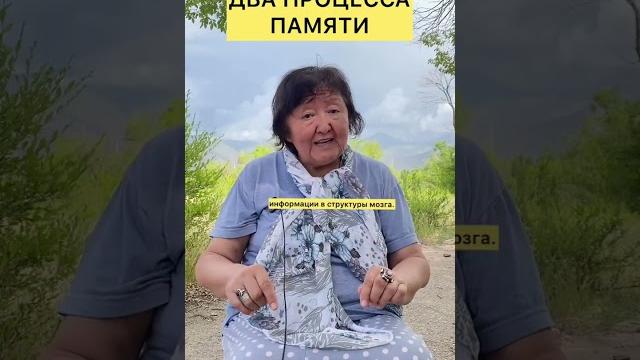 Два процесса памяти Два процесса памяти