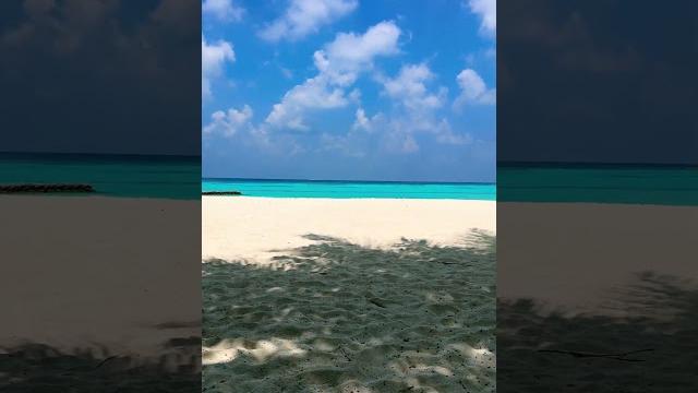 Did you see ? #bikini #beach #malfunction Did you see ? #bikini #beach #malfunction