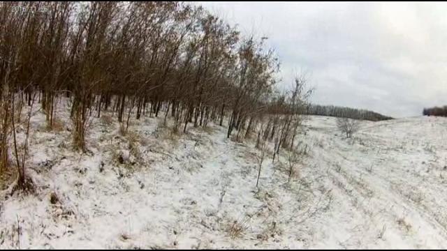 Тропление зайца. Тропление зайца.