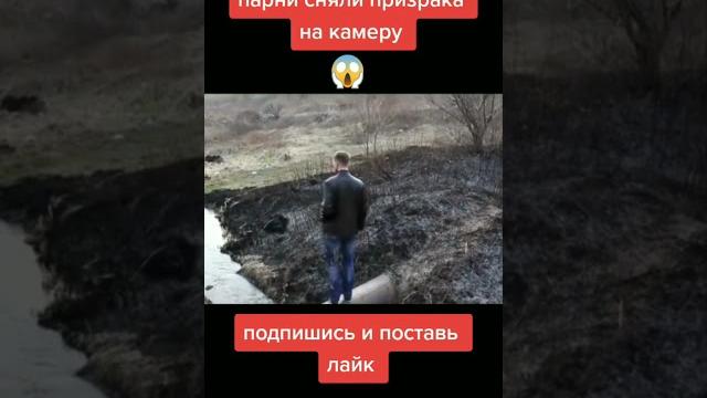 Призраки в реальной жизни #shorts #мистика Призраки в реальной жизни #shorts #мистика