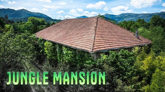 西班牙山区发现废弃丛林豪宅 西班牙山区发现废弃丛林豪宅