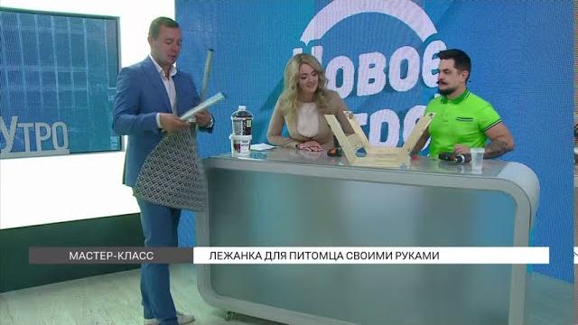 Мастер-класс: лежанка для животных Мастер-класс: лежанка для животных