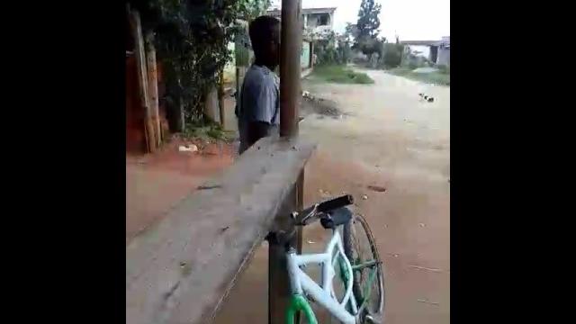 Novinhas do zap zap Novinhas do zap zap