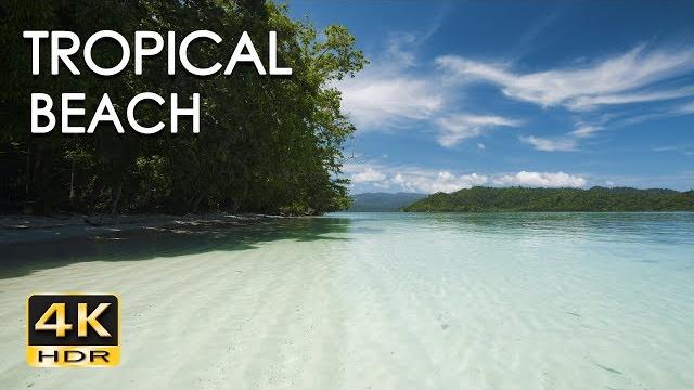 4k hdr tropical beach - gentle ocean wave sounds - peaceful wild island - relaxing nature video 4k hdr tropical beach - gentle ocean wave sounds - peaceful wild island - relaxing nature video