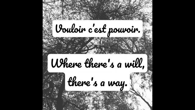 Vouloir c’est pouvoir. translation: where there's a will, there's a way. #learnfrench #français Vouloir c’est pouvoir. translation: where there's a will, there's a way. #learnfrench #français