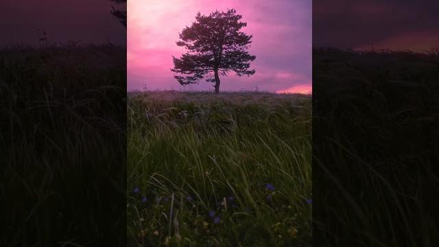 Verllyaling #short #viral #trending #tiktok #terbaru #beauty #model #girl #cute #fresh #18+ #pargoy Verllyaling #short #viral #trending #tiktok #terbaru #beauty #model #girl #cute #fresh #18+ #pargoy