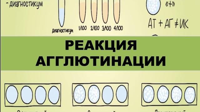 Реакция агглютинации (ориентировочная и развёрнутая) Реакция агглютинации (ориентировочная и развёрнутая)