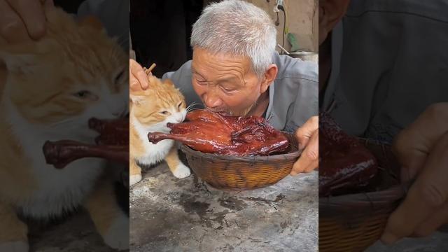 橘猫有多馋嘴?死死咬住烧鹅不放 #貓咪故事 #小貓咪 #貓 #cat #小猫咪 #cute #喵星人 橘猫有多馋嘴?死死咬住烧鹅不放 #貓咪故事 #小貓咪 #貓 #cat #小猫咪 #cute #喵星人