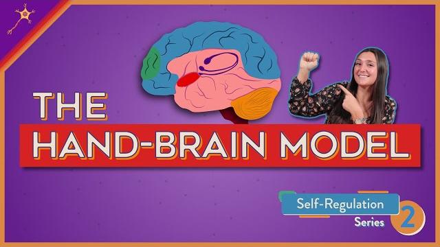 The hand-brain model! | self-regulation lesson 2 The hand-brain model! | self-regulation lesson 2