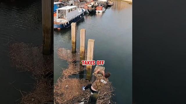 Log jumping challenge #challenge #funny Log jumping challenge #challenge #funny