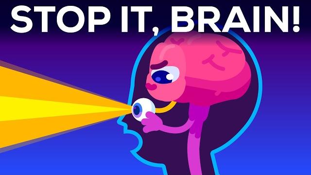 Why your brain blinds you for 2 hours every day Why your brain blinds you for 2 hours every day