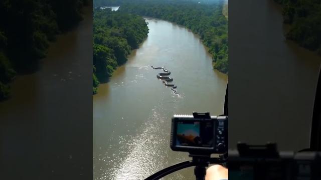 Is this real?! giant anaconda spotted in amazon river! Is this real?! giant anaconda spotted in amazon river!