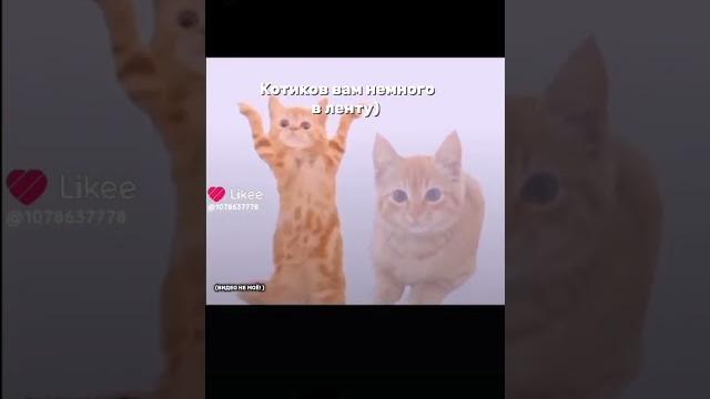 Видео с pinterest Видео с pinterest