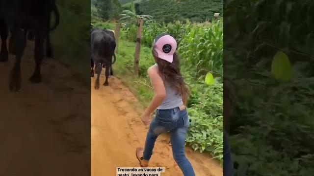 Boiadeira #boiadeira #cavalo Boiadeira #boiadeira #cavalo