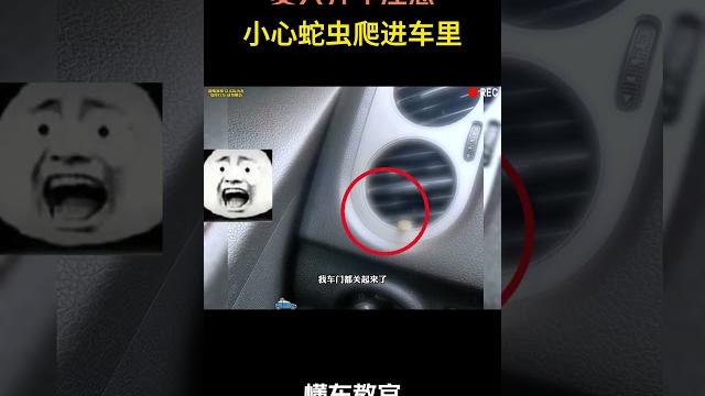 夏天开车注意蛇虫爬进车里!#汽车 #汽車 #汽车知识 夏天开车注意蛇虫爬进车里!#汽车 #汽車 #汽车知识
