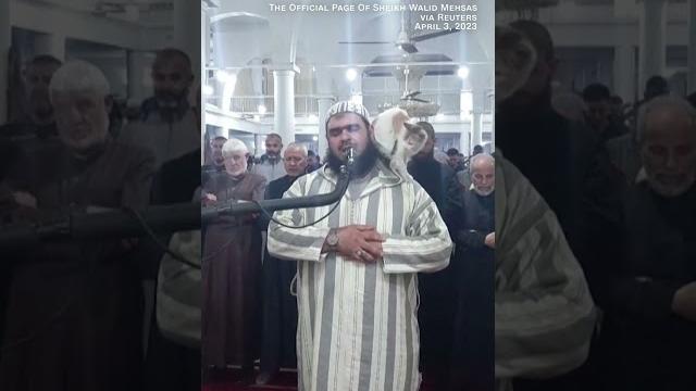 Cat jumps on sheikh leading prayer. see his reaction Cat jumps on sheikh leading prayer. see his reaction