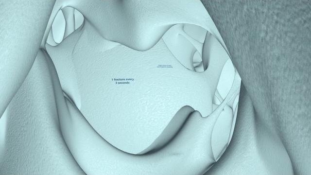 360° virtual reality bone animation 360° virtual reality bone animation
