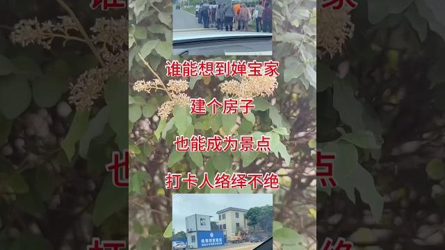 #全红婵 家成经景点了 #全红婵 家成经景点了