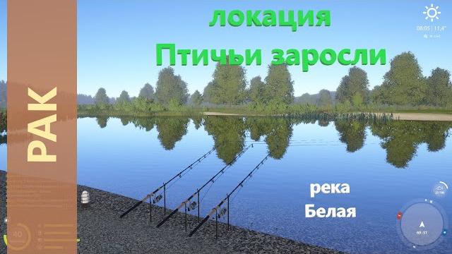 Русская рыбалка 4 - река белая - рак под корягой Русская рыбалка 4 - река белая - рак под корягой