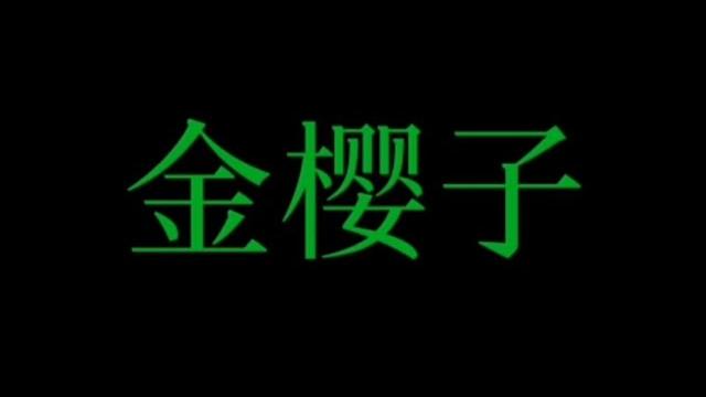 R15金樱子jinyingzi R15金樱子jinyingzi