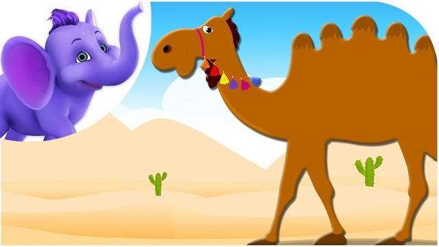 Alice the camel - nursery rhyme with karaoke Alice the camel - nursery rhyme with karaoke