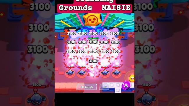 Maisie's ultimate training arena! Maisie's ultimate training arena!